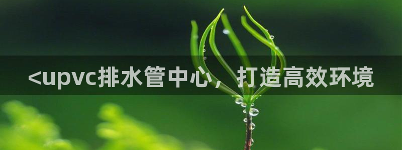 天辰娱乐上级