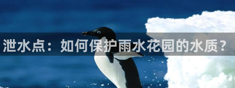天辰娱乐557448