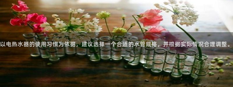 天辰娱乐新