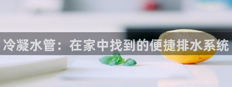 天辰娱乐官