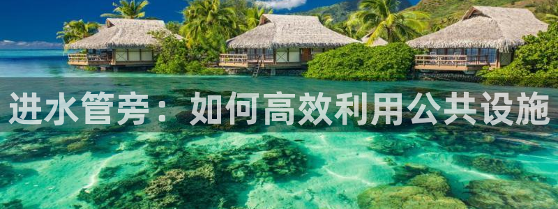天辰娱乐股东