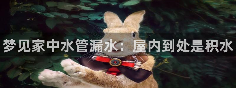天辰娱乐 849852