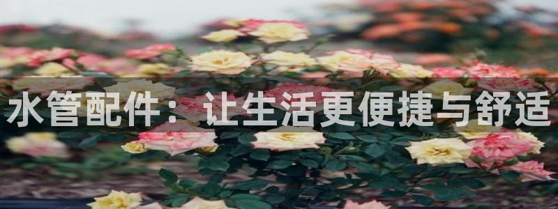 天辰娱乐44516