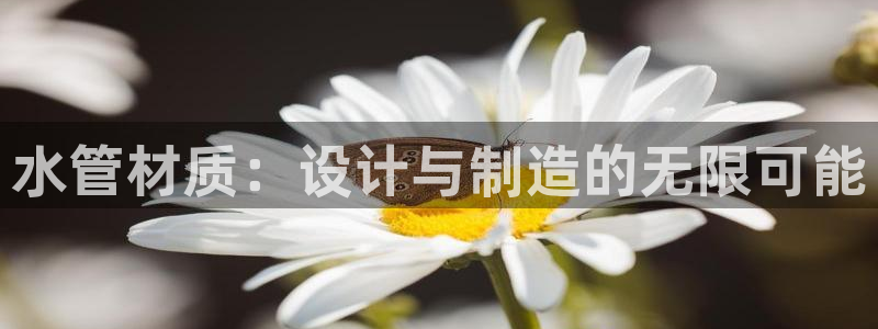 天辰娱乐软件