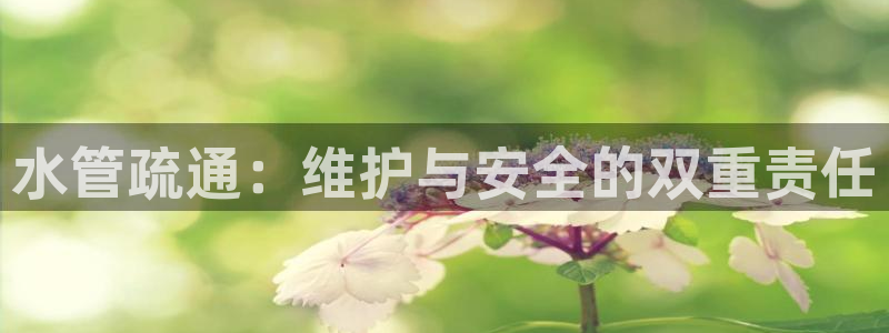 天辰娱乐1996
