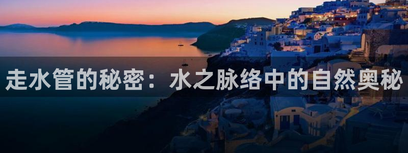 辰天娱乐用品