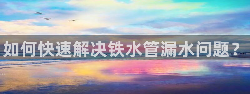 辰天娱乐用品