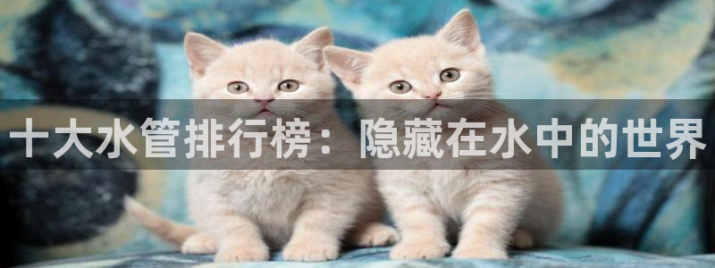 天辰娱乐总管年薪