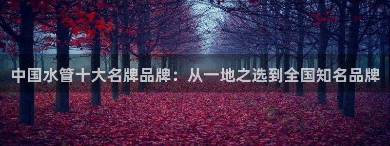 天辰娱乐酒店