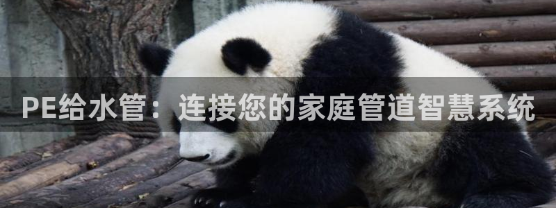 天辰娱乐国际