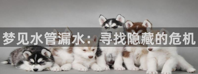 辰天娱乐用品