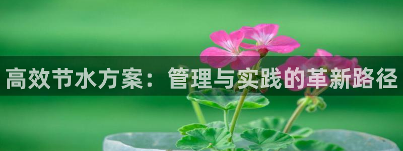 天辰娱乐总管年薪