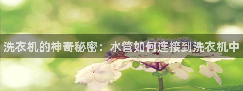 天辰娱乐_675138