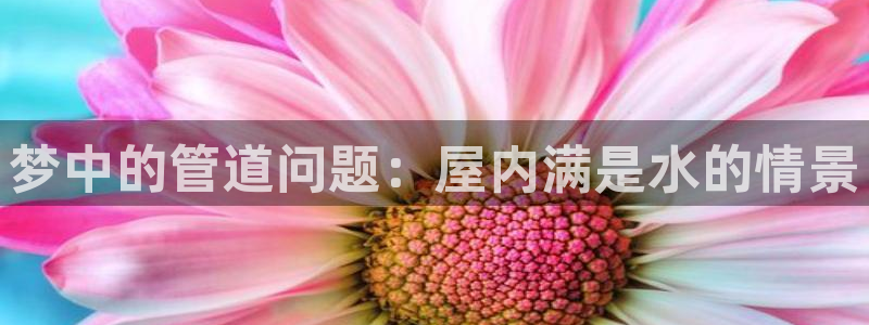 天辰娱乐平台地址在哪里