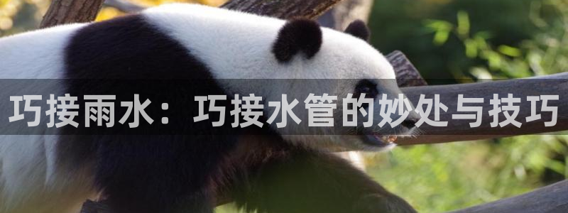 天辰娱乐下载链接