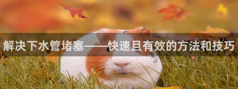 菲律宾天辰娱乐