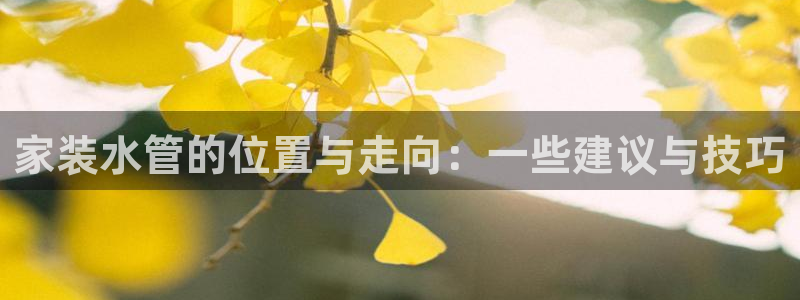 天辰娱乐登陆