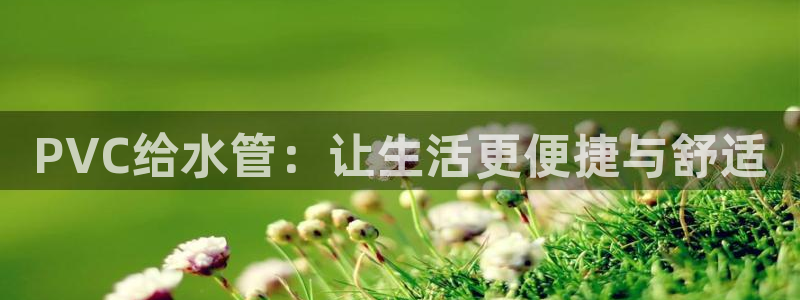天辰娱乐61116