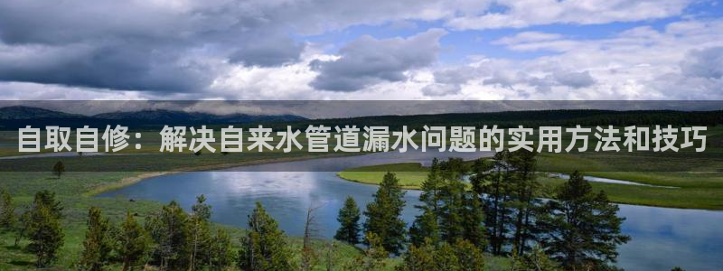 广东天辰娱乐