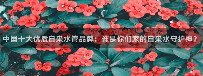 天辰娱乐连接