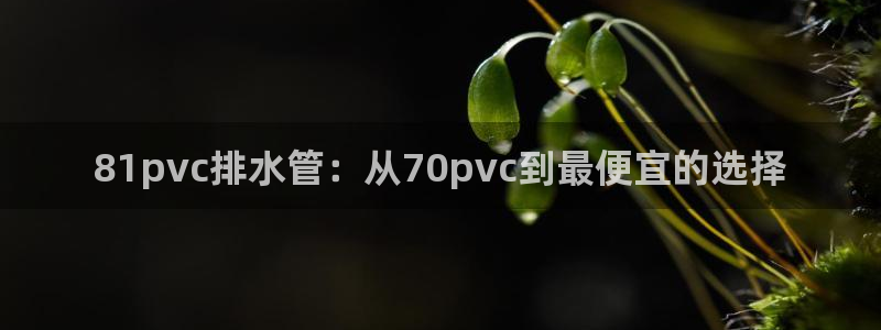 天辰a娱乐