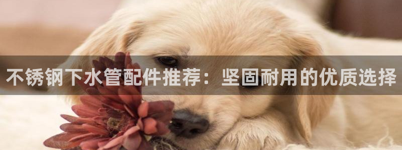 天辰说娱乐
