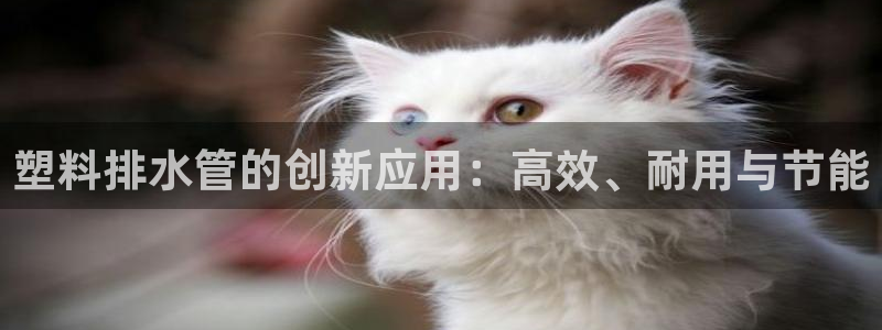 天辰娱乐