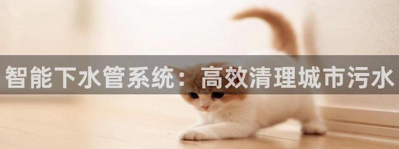 天辰娱乐直属