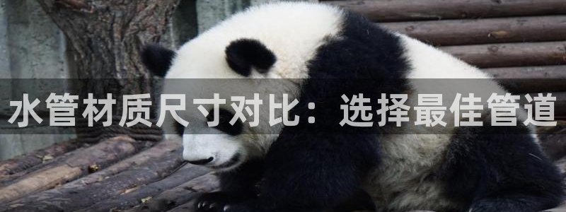 天辰娱乐44616