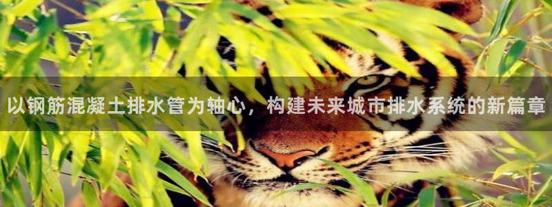 天富天辰娱乐