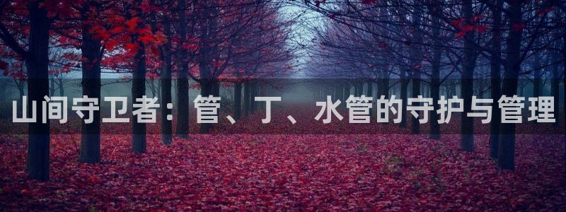 天辰娱乐娱乐平台
