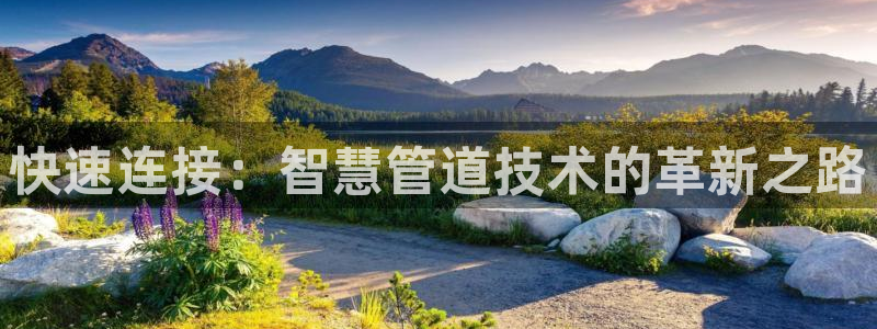 辰天娱乐用品
