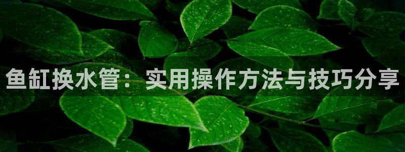 天辰娱乐 849852