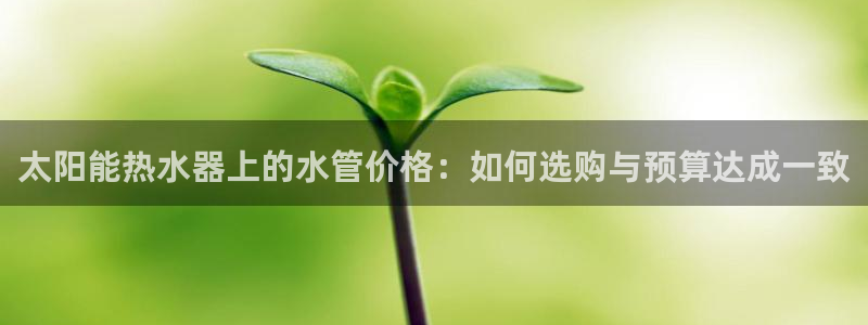 天富天辰娱乐