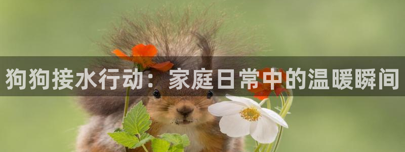 天辰娱乐官方登录下载